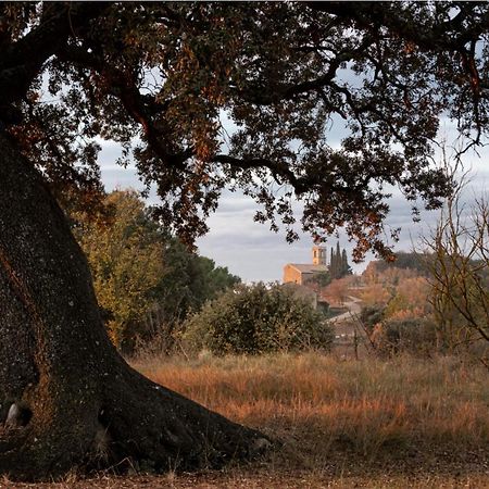 Apartmán Cal Moliner De Castelladral Exteriér fotografie