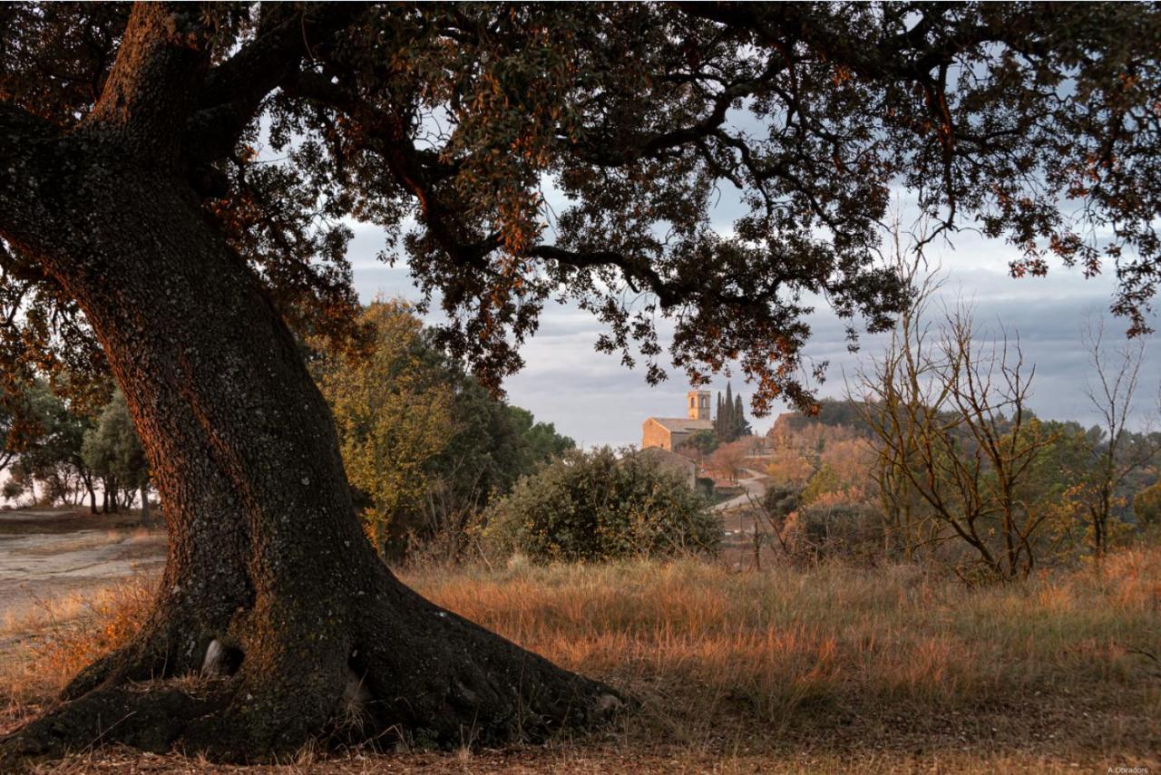Apartmán Cal Moliner De Castelladral Exteriér fotografie